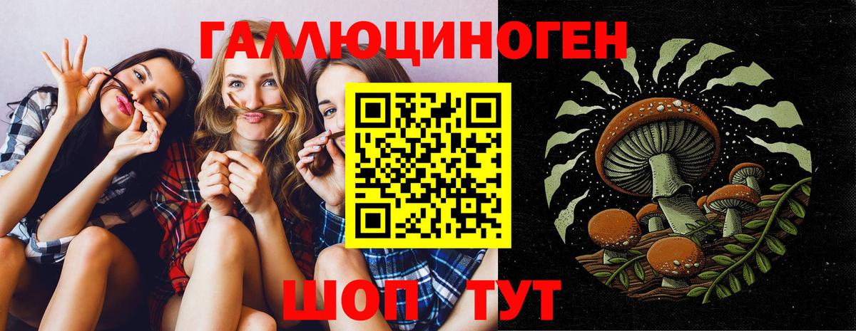 Псилоцибиновые грибы Cubensis Гулькевичи